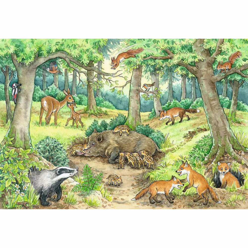 Ravensburger Wieso? Weshalb? Warum? Tiere im Wald und auf der Wiese, Puzzle, Kinderpuzzle, Legespiel, 2 x 12 Teile, 05673