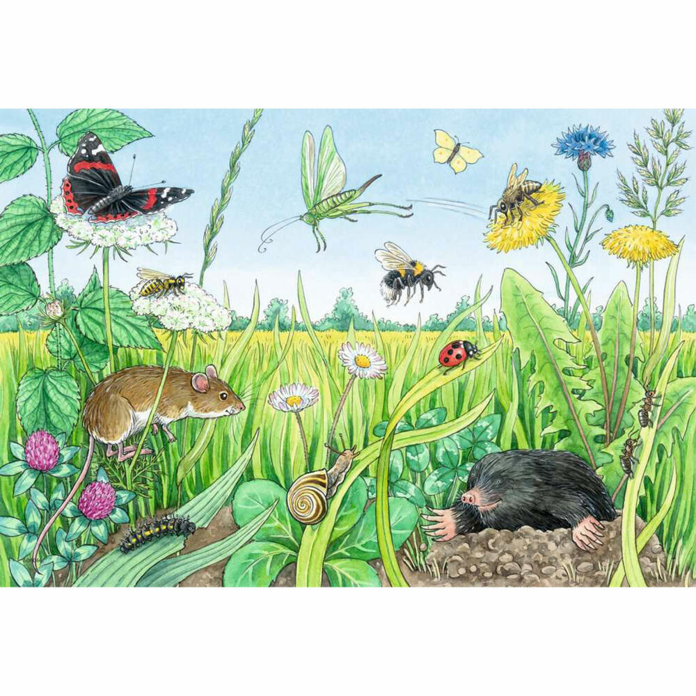 Ravensburger Wieso? Weshalb? Warum? Tiere im Wald und auf der Wiese, Puzzle, Kinderpuzzle, Legespiel, 2 x 12 Teile, 05673