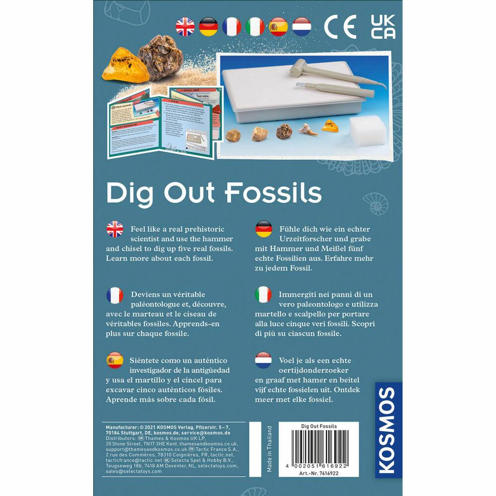 KOSMOS Fossilien / Dig Out Fossils, Experimentierkasten, Kinder, Mehrsprachig, 616922