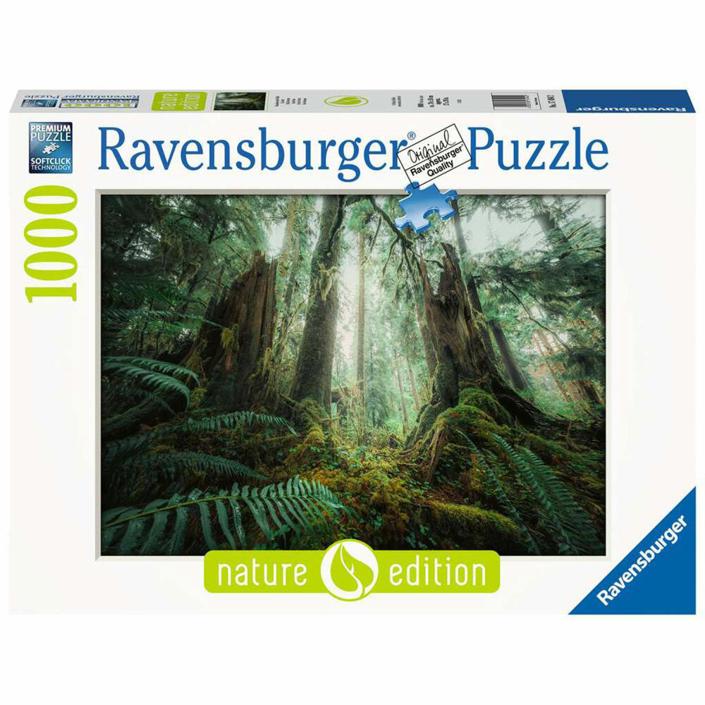 Ravensburger Puzzle Faszinierender Wald, Erwachsenenpuzzle, 1000 Teile, ab 14 Jahren, 17494