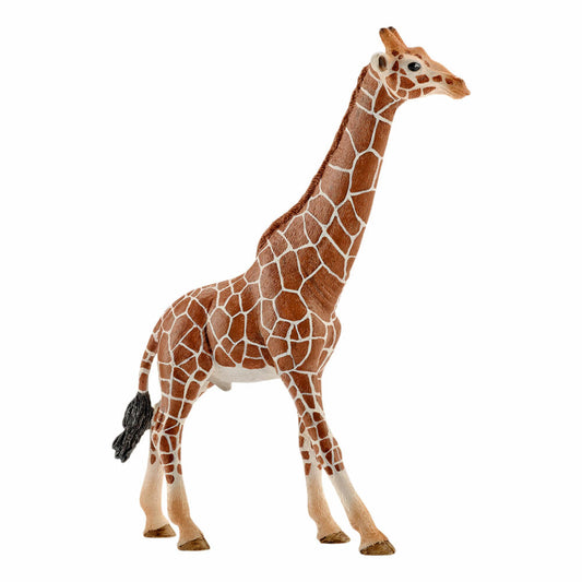 Schleich Wild Life Giraffenbulle, Giraffe, Wildtier, Spielfigur, 17 cm, 14749