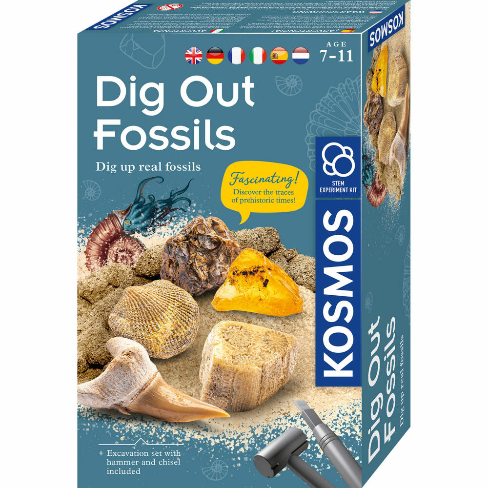 KOSMOS Fossilien / Dig Out Fossils, Experimentierkasten, Kinder, Mehrsprachig, 616922