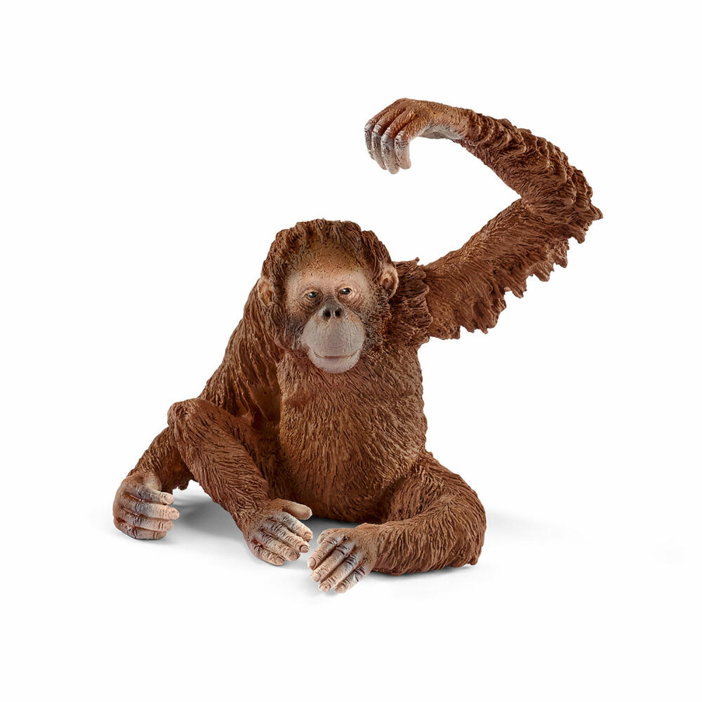 Schleich Wild Life Orang-Utan Weibchen, Affe, Wildtier, Spielfigur, Spielzeug, 14775