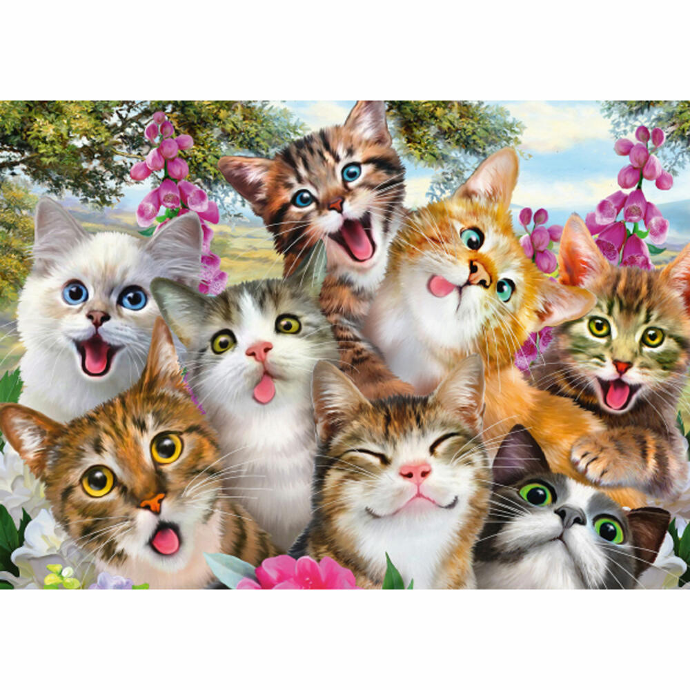 Schmidt Spiele Puzzle Katzen-Selfie, Erwachsenenpuzzle, Standard, 500 Teile, 58391