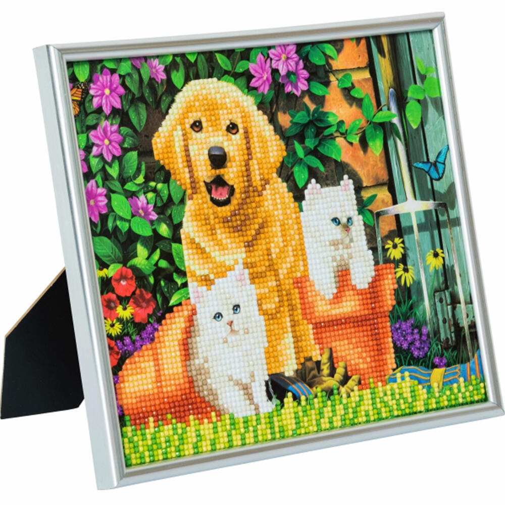 Crystal Art Bilderrahmen Katze und Hund, Diamond Painting, Kreativset, Diamanten, 21 x 25 cm, CAM-11