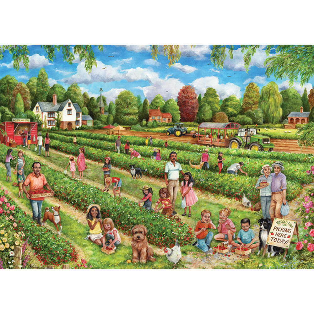 Jumbo Spiele Falcon Strawberry Picking, Puzzle, Erwachsenenpuzzle, Puzzlespiel, 1000 Teile, 11340