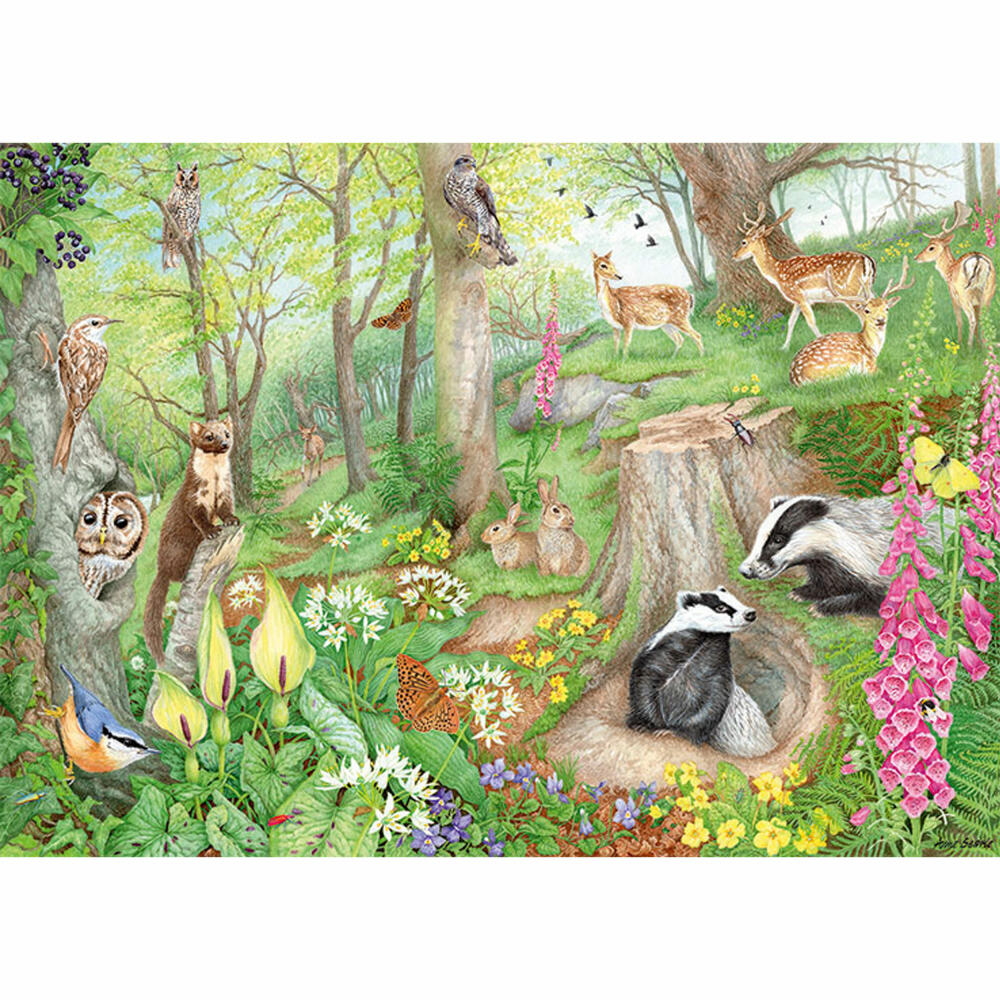 Jumbo Spiele Falcon Woodland Wildlife, Puzzle, Erwachsenenpuzzle, Puzzlespiel, 1000 Teile, 11322