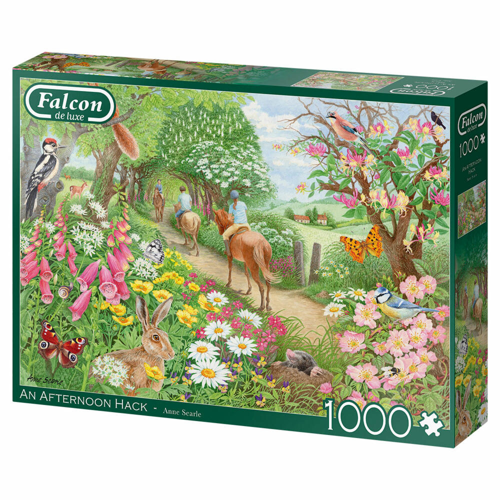 Jumbo Spiele Falcon An Afternoon Hack, Puzzle, Erwachsenenpuzzle, Puzzlespiel, 1000 Teile, 11288