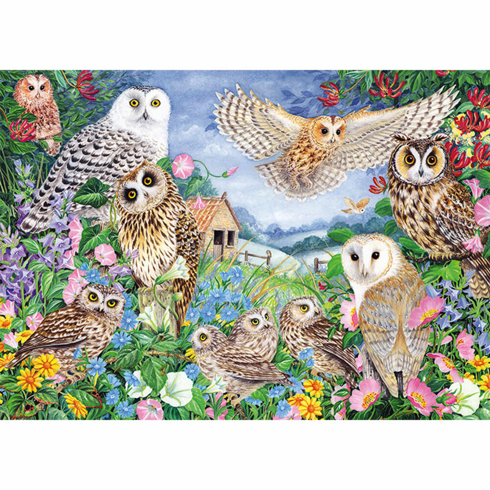 Jumbo Spiele Falcon Owls in the Wood, Puzzle, Erwachsenenpuzzle, Puzzlespiel, 1000 Teile, 11286