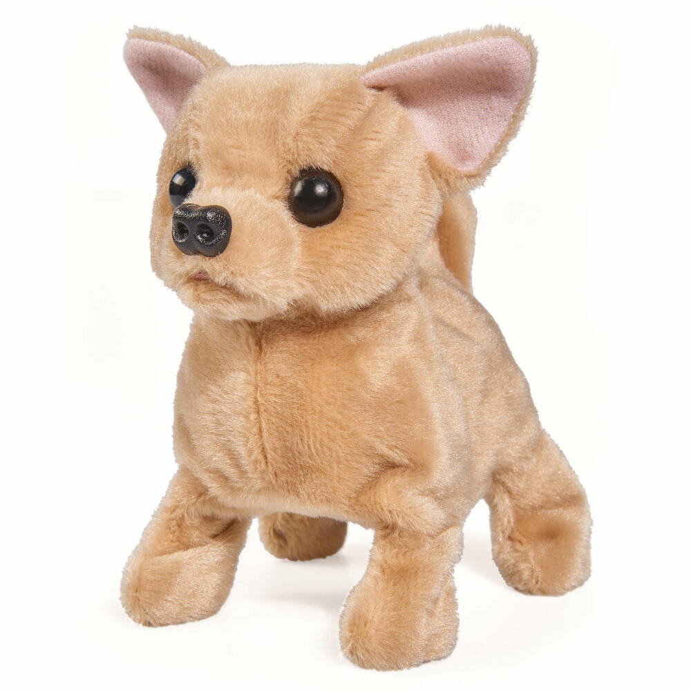 Simba Chi Chi Love Baby Puppy Plüschhund, Welpe, Hundewelpe, Hund, Läuft und Bellt, Spielzeug, 15 cm, 105893236