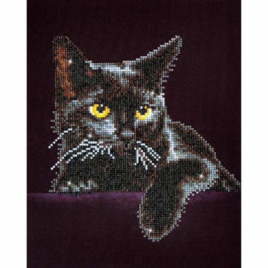 Diamond Dotz Katze, Diamond Painting, Kreativset, Malen mit Diamanten, ab 8 Jahre, 27.9 x 35.5 cm, DD5-001