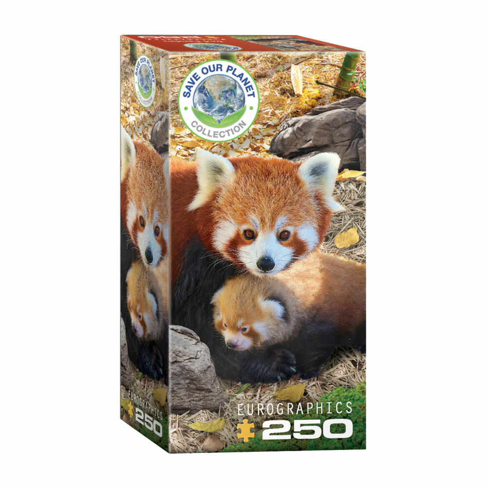 Eurographics Puzzle Rote Pandas, Pandababy, 250 Teile, 33 x 48 cm, 8251-5557