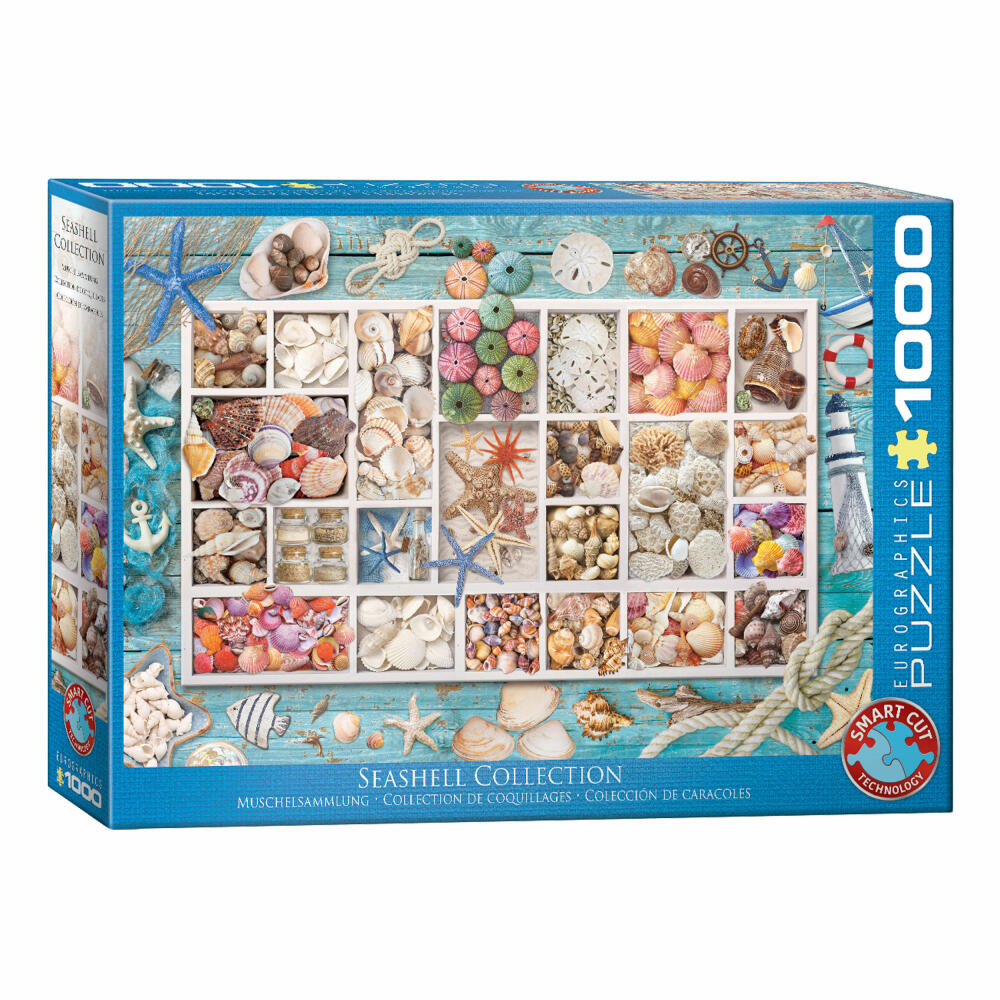 Eurographics Puzzle Muschelsammlung, Muscheln, 1000 Teile, 68 x 48 cm, 6000-5529