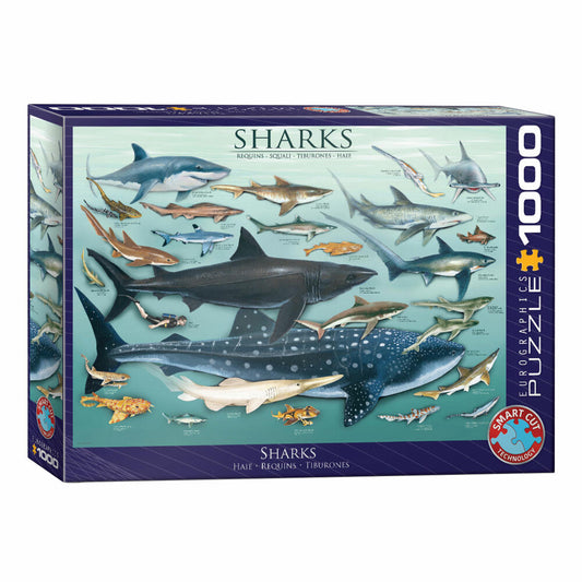 Eurographics Puzzle Haie, Sharks, mehrsprachig, 1000 Teile, 68 x 48 cm, 6000-0079