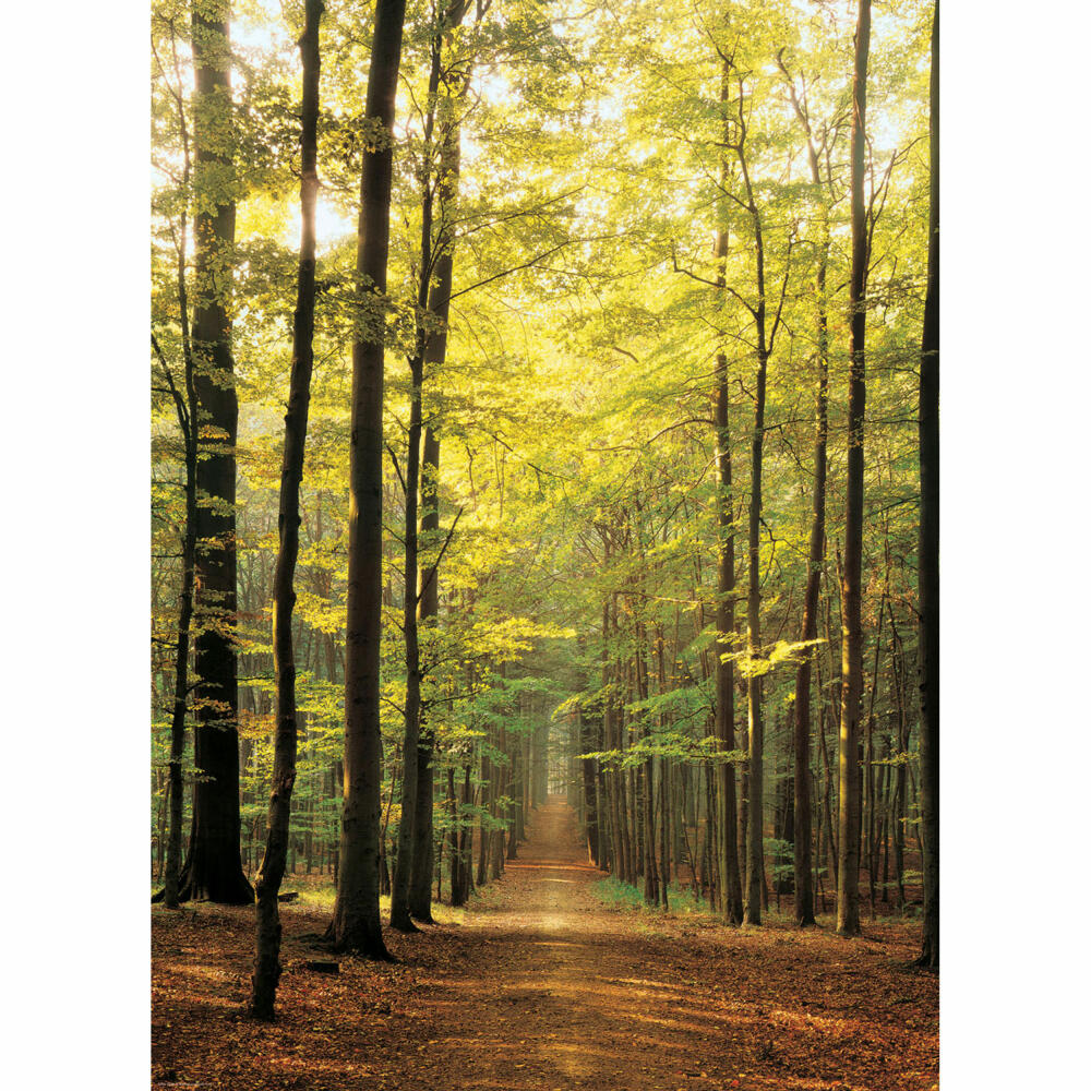 Eurographics Puzzle Waldweg, Landschaft, 1000 Teile, 68 x 48 cm, 6000-3846