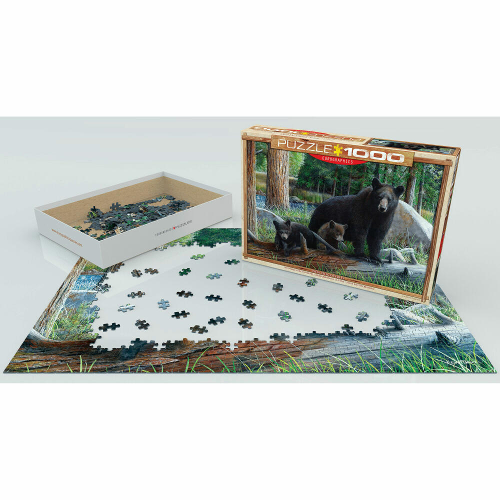 Eurographics Puzzle Neue Entdeckungen von Kevin Daniel, 1000 Teile, 68 x 48 cm, 6000-0793