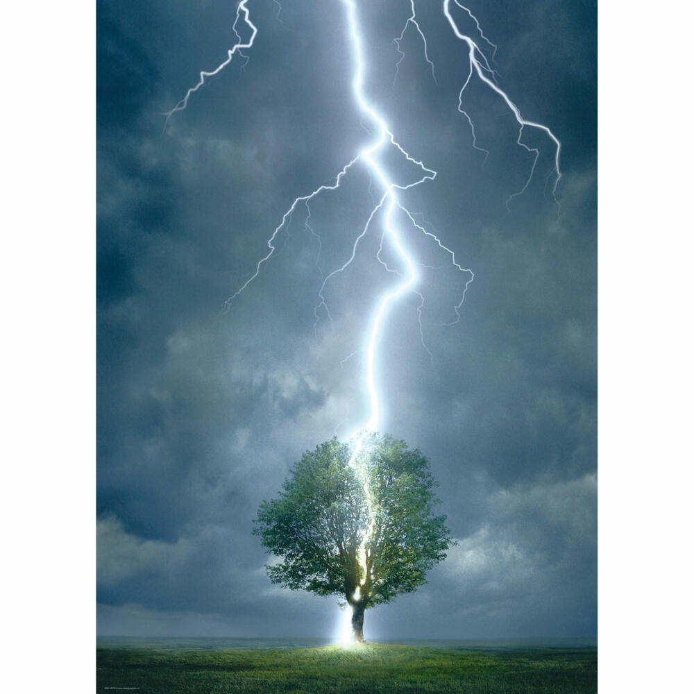 Eurographics Puzzle Blitzeinschlag, Gewitter, Blitzschlag, 1000 Teile, 68 x 48 cm, 6000-4570