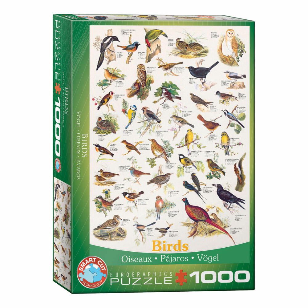 Eurographics Puzzle Vögel, Tierwelt, Birds, 1000 Teile, 68 x 48 cm, 6000-1259