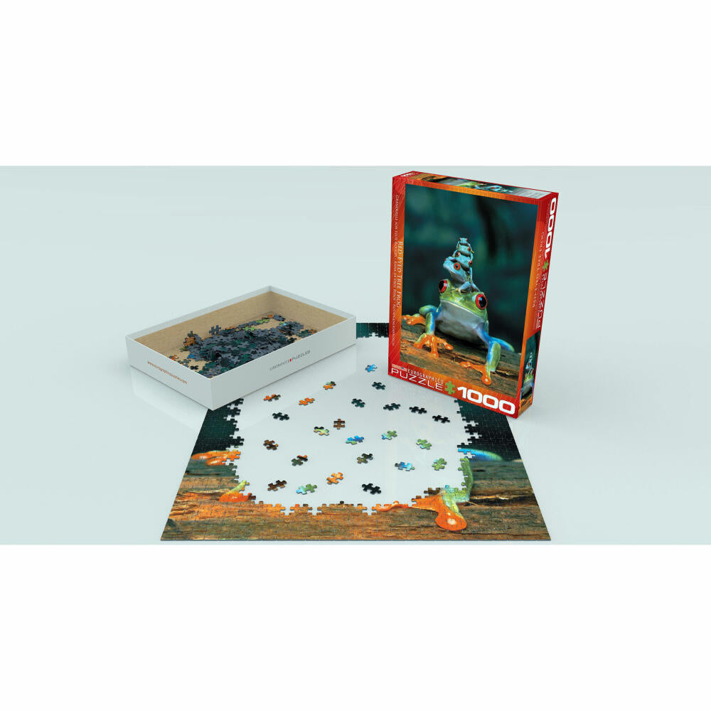 Eurographics Puzzle Rotaugenlaubfrosch, Frösche, 1000 Teile, 68 x 48 cm, 6000-3004