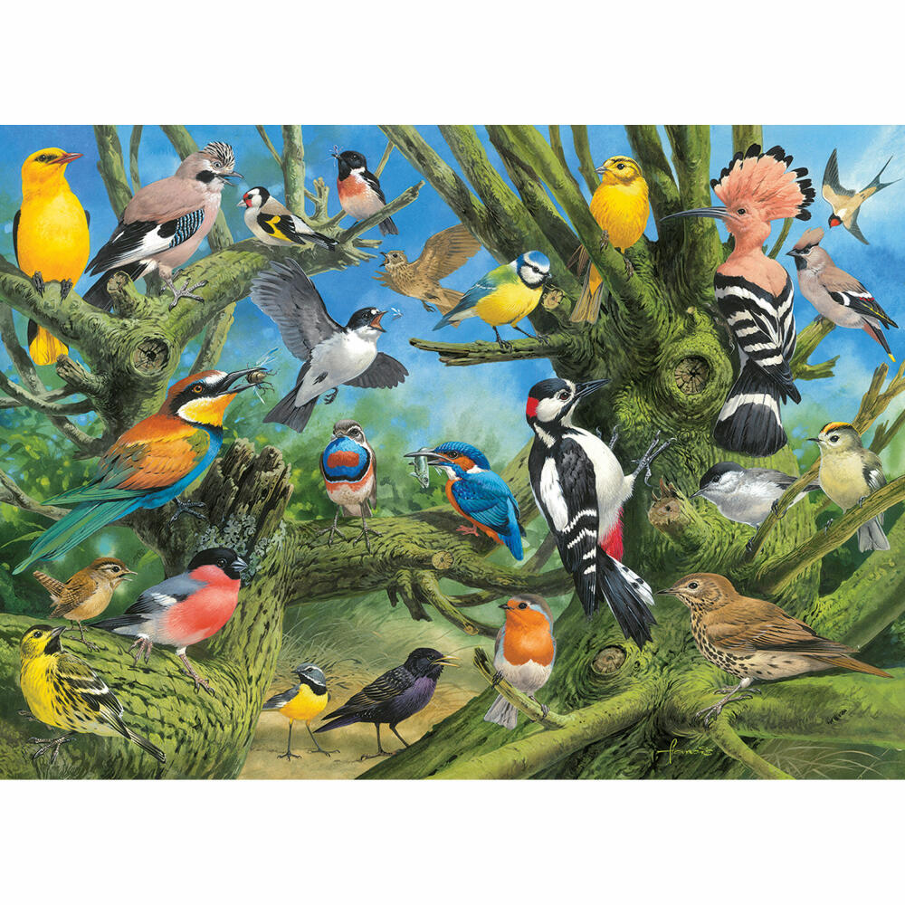 Eurographics Puzzle Gartenvögel von Joahn Francis, 1000 Teile, 68 x 48 cm, 6000-0967