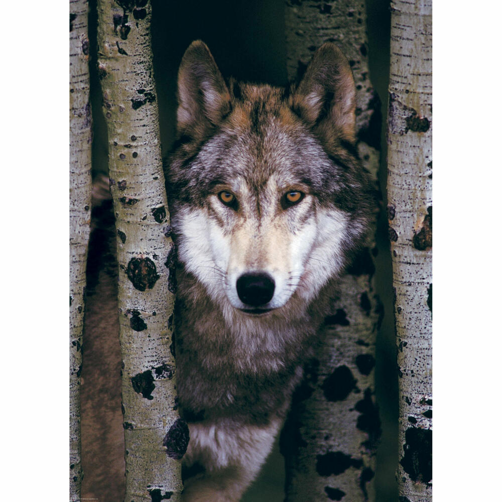 Eurographics Puzzle Gray Wolf, Grauer Wolf, 1000 Teile, 68 x 48 cm, 6000-1244