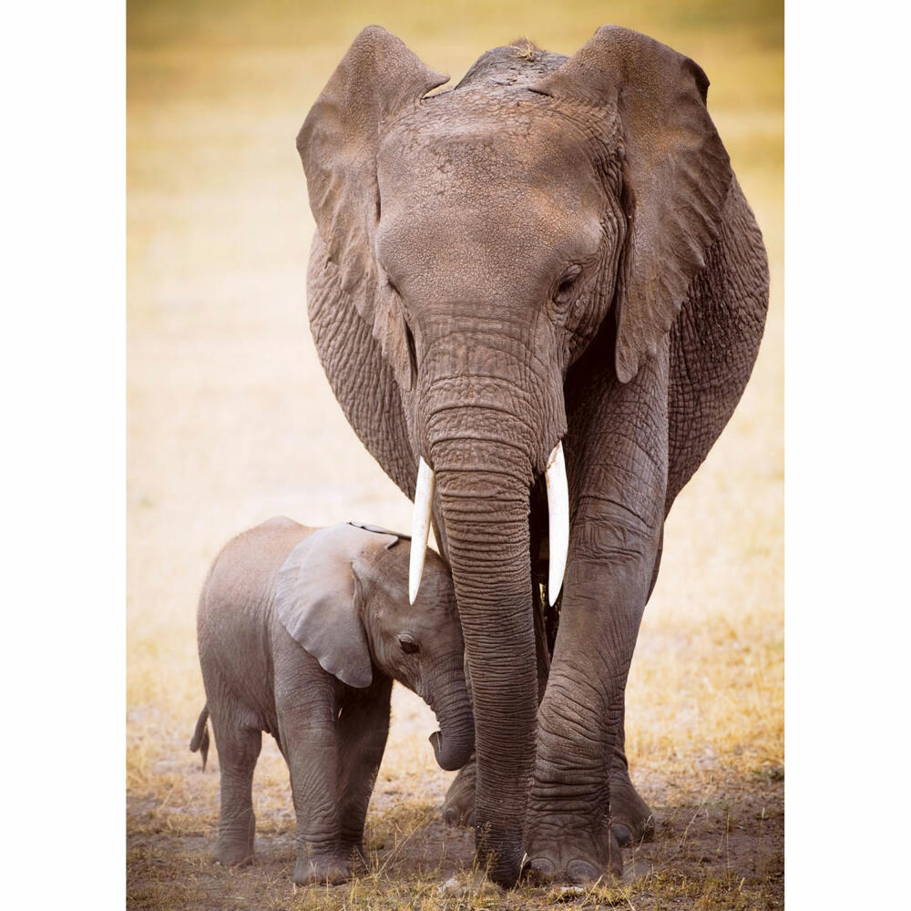 Eurographics Puzzle Elephant & Baby, Elefanten, 1000 Teile, 68 x 48 cm, 6000-0270