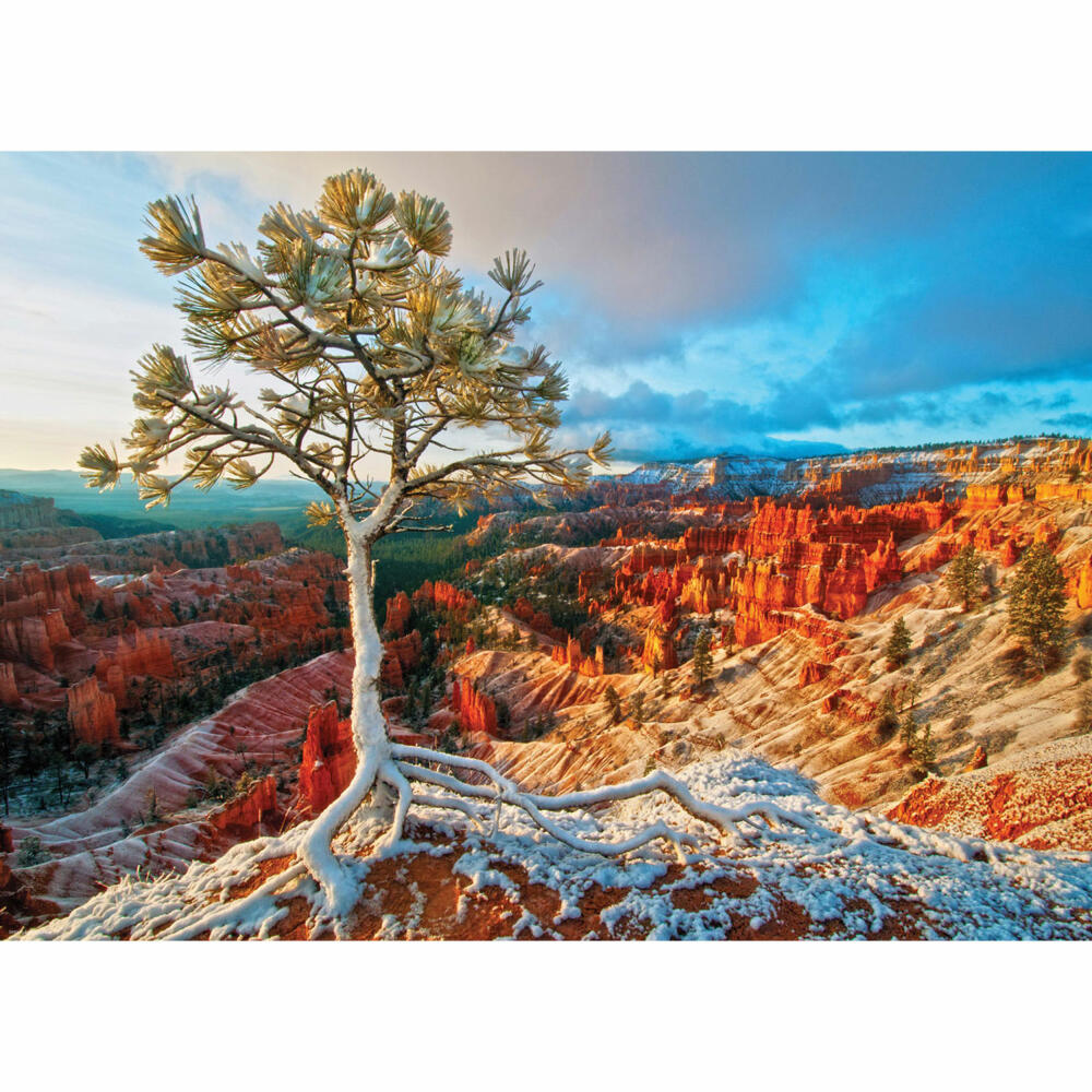 Eurographics Puzzle Grand Canyon Winter Sonnenaufgang, 1000 Teile, 68 x 48 cm, 6000-0692