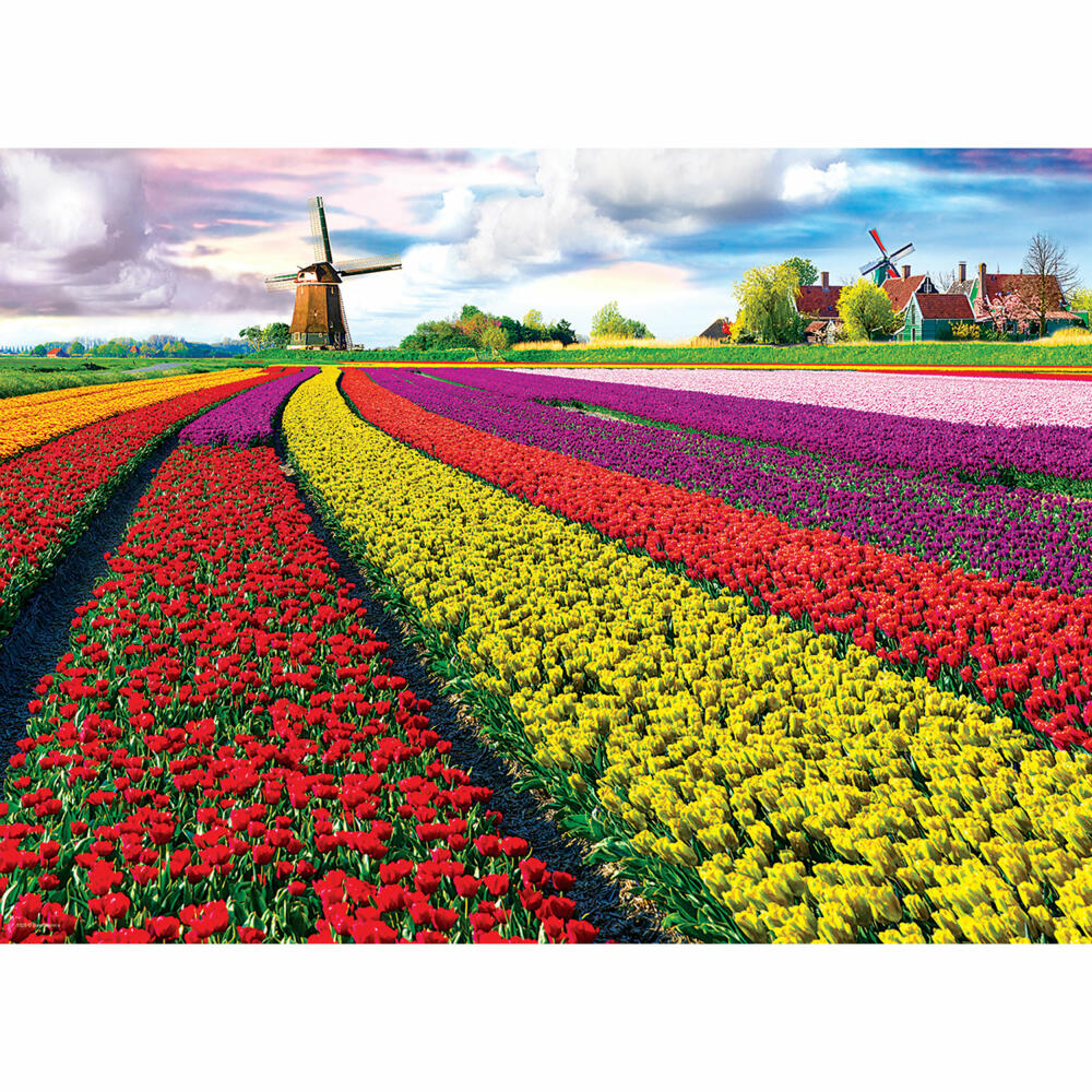 Eurographics Puzzle Tulpenfelder Niederlande, 1000 Teile, 68 x 48 cm, 6000-5326