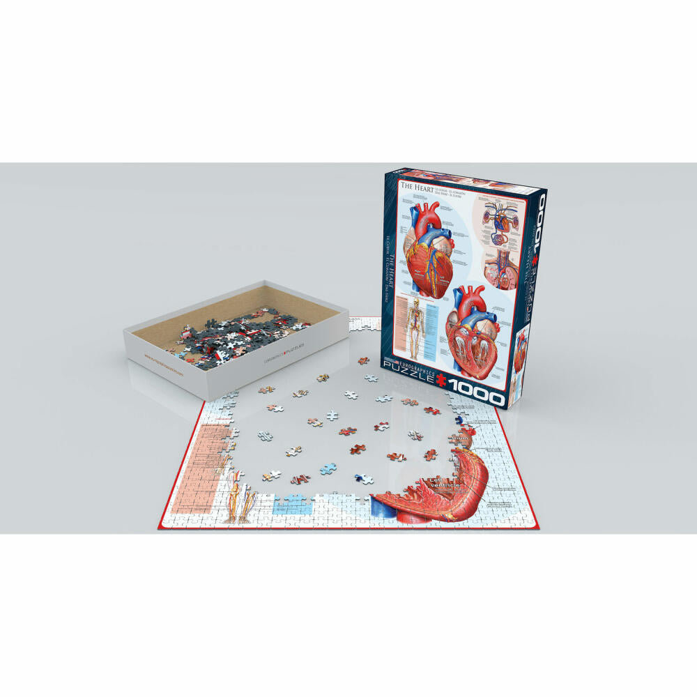 Eurographics Puzzle Das Herz, Anatomie, 1000 Teile, 68 x 48 cm, 6000-0257