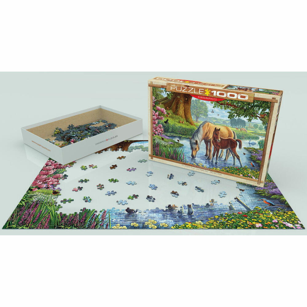 Eurographics Puzzle Fell Ponies von Steve Crisp, 1000 Teile, 68 x 48 cm, 6000-0976