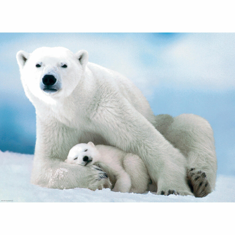 Eurographics Puzzle Eisbär & Baby, Eisbären, 1000 Teile, 68 x 48 cm, 6000-1198