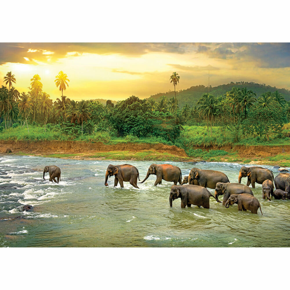 Eurographics Puzzle Tropischer Regenwald, 1000 Teile, 68 x 48 cm, 6000-5540