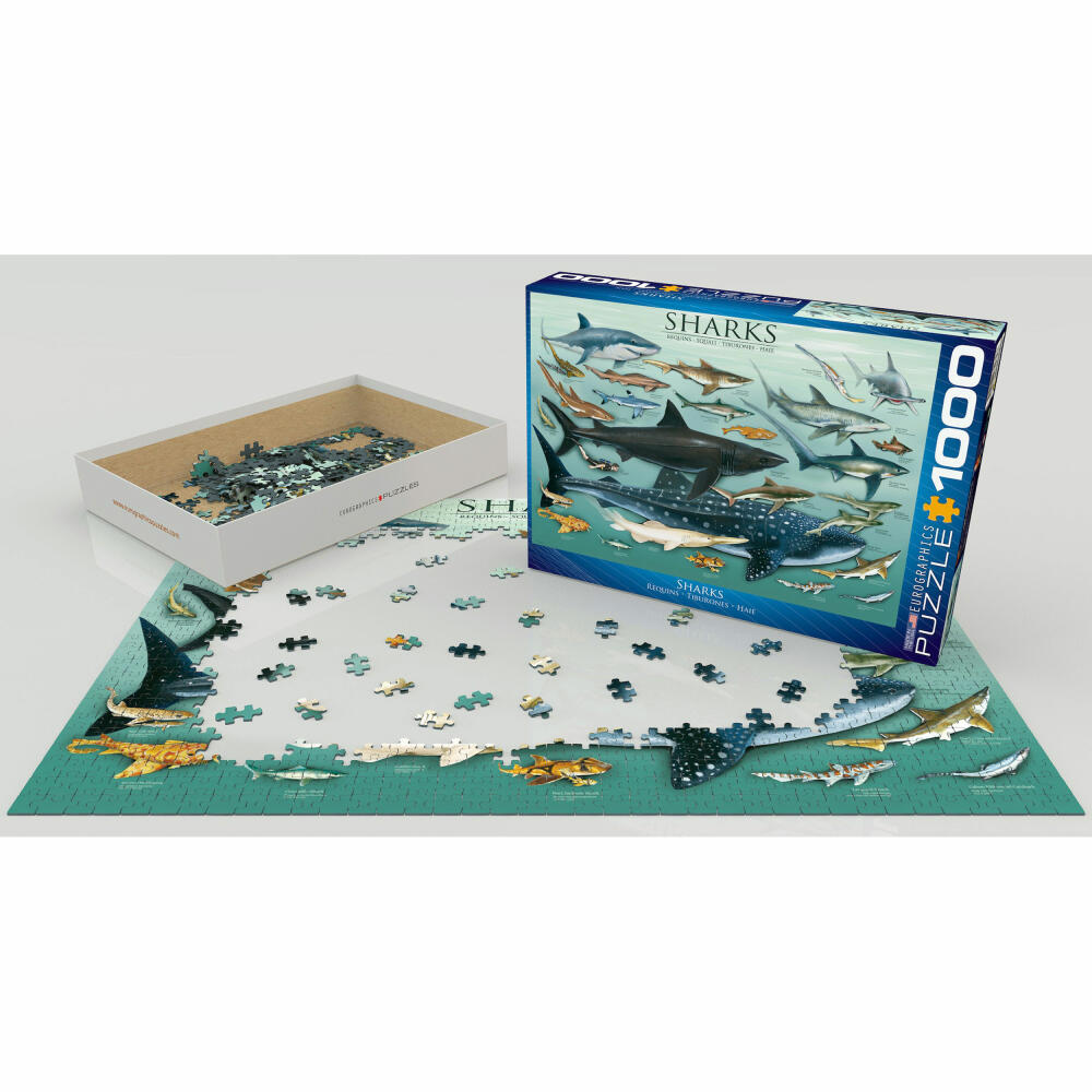 Eurographics Puzzle Haie, Sharks, mehrsprachig, 1000 Teile, 68 x 48 cm, 6000-0079