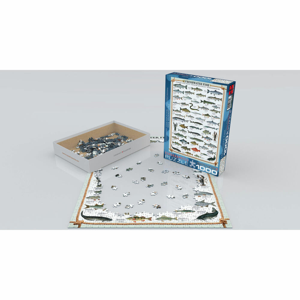 Eurographics Puzzle Süßwasserfische, Tiere, 1000 Teile, 68 x 48 cm, 6000-0312