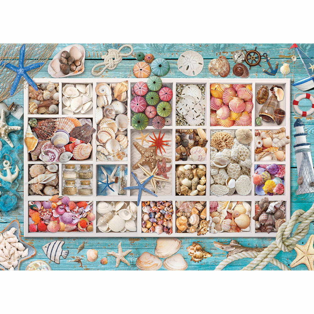 Eurographics Puzzle Muschelsammlung, Muscheln, 1000 Teile, 68 x 48 cm, 6000-5529