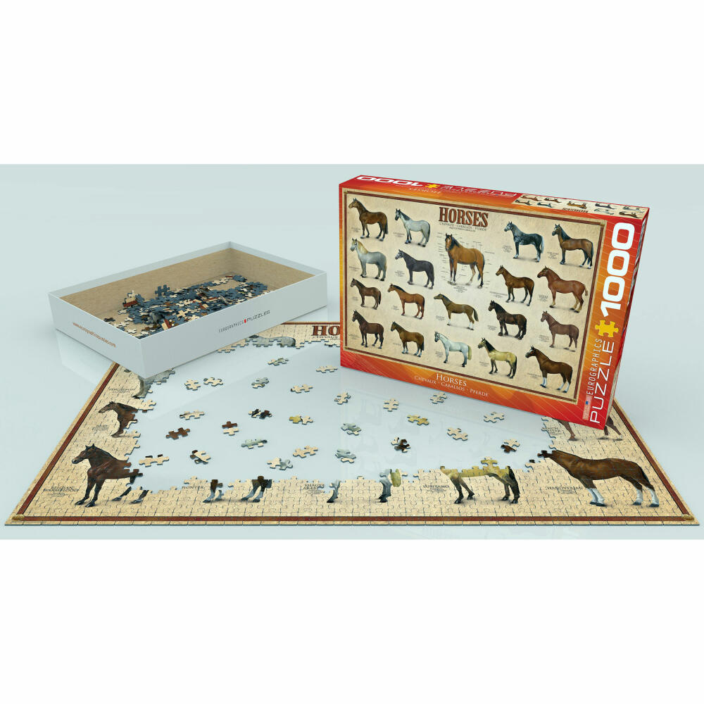 Eurographics Puzzle Pferde, Horses, mehrsprachig, 1000 Teile, 68 x 48 cm, 6000-0078