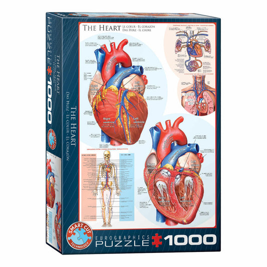 Eurographics Puzzle Das Herz, Anatomie, 1000 Teile, 68 x 48 cm, 6000-0257