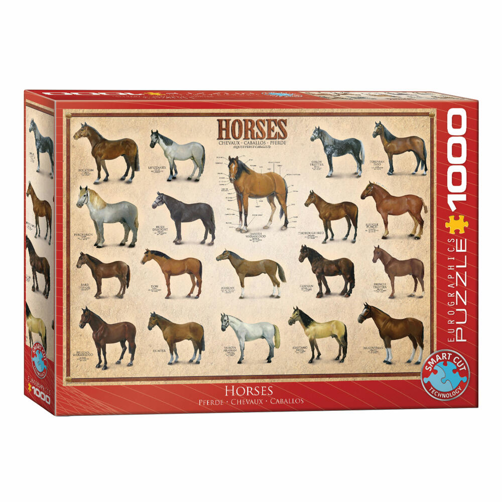 Eurographics Puzzle Pferde, Horses, mehrsprachig, 1000 Teile, 68 x 48 cm, 6000-0078