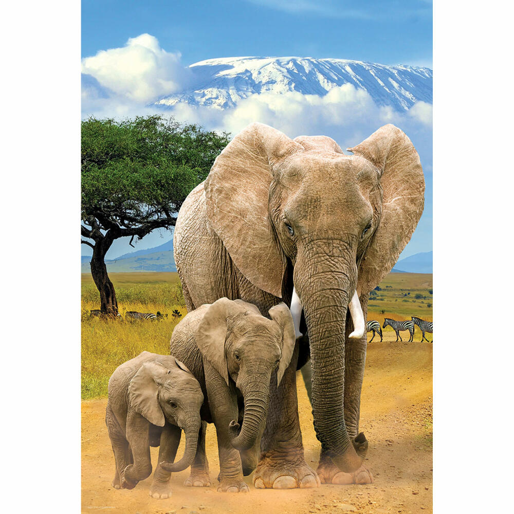 Eurographics Puzzle Elefanten, 250 Teile, 33 x 48 cm, 8251-5787