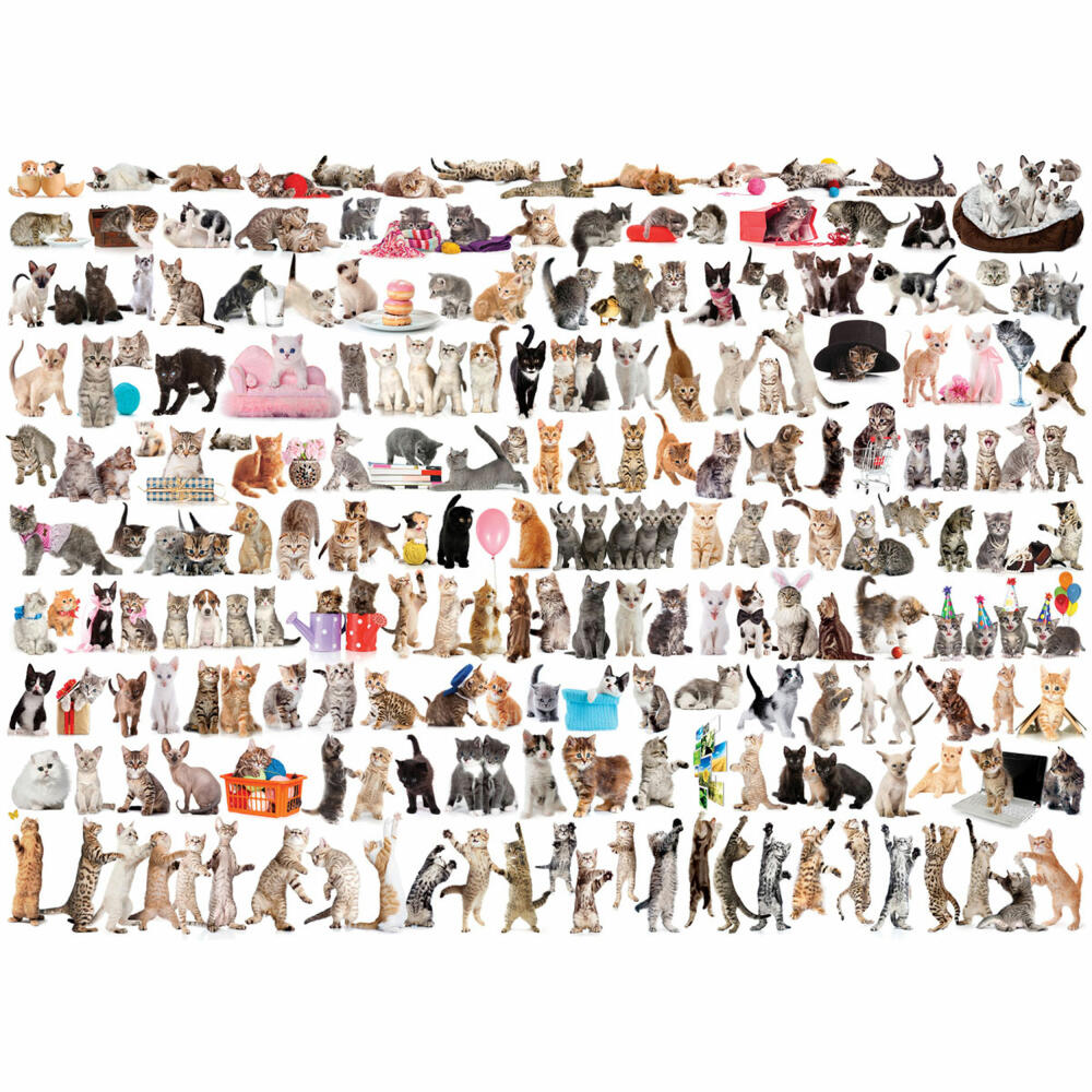 Eurographics Puzzle Katzenwelt, Katzen Sammelbild, 1000 Teile, 68 x 48 cm, 6000-0580