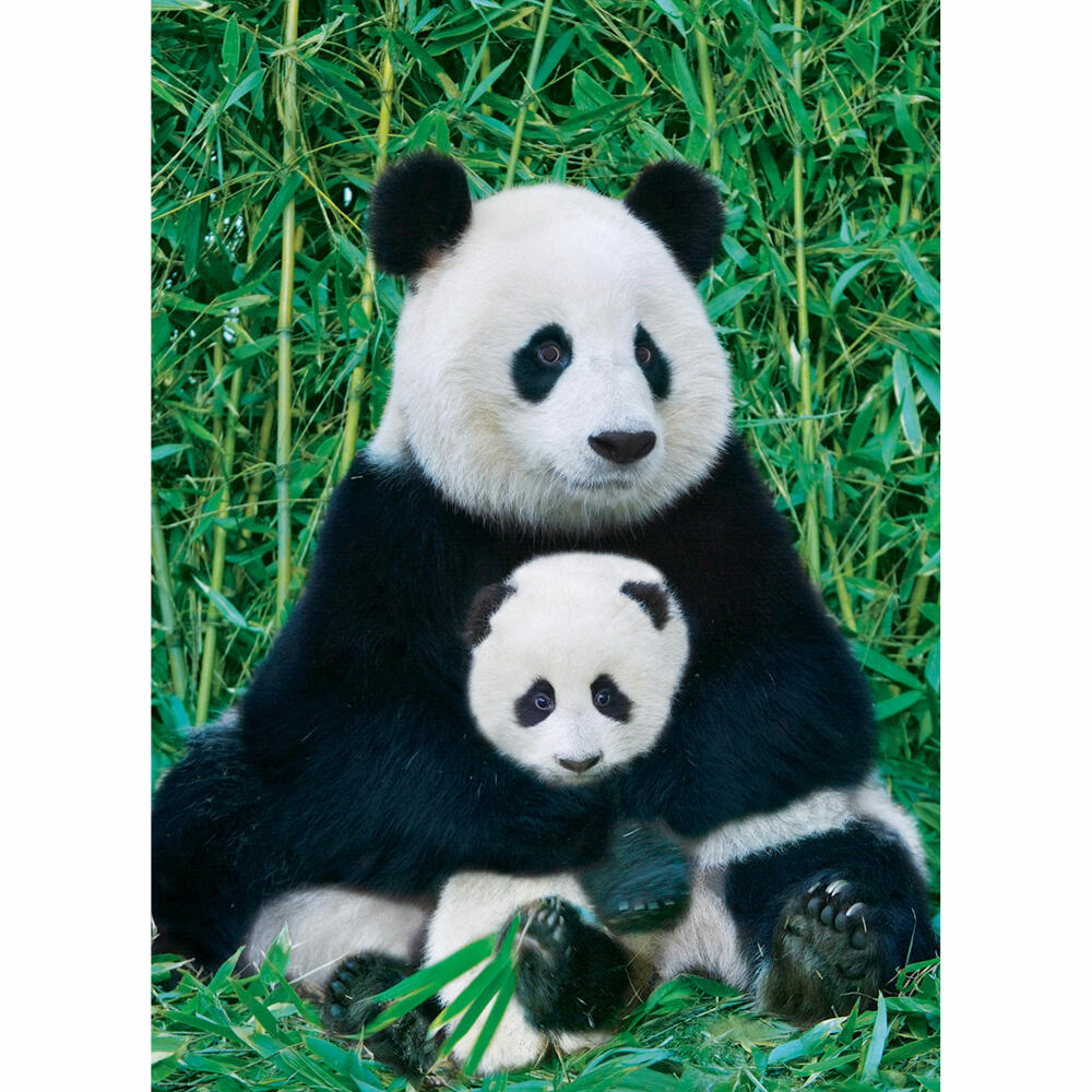 Eurographics Puzzle Panda und Baby, Pandabären, 1000 Teile, 68 x 48 cm, 6000-0173