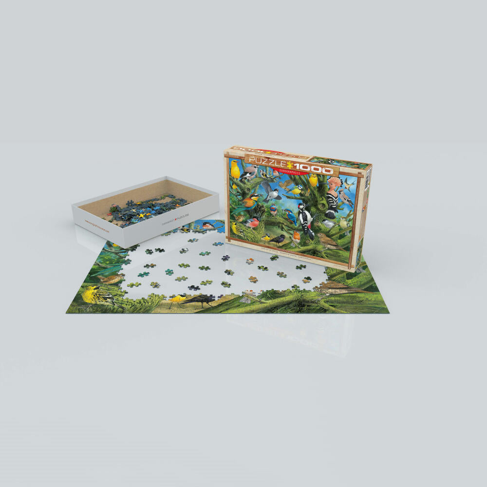 Eurographics Puzzle Gartenvögel von Joahn Francis, 1000 Teile, 68 x 48 cm, 6000-0967