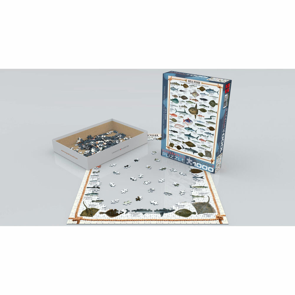 Eurographics Puzzle Seefische, Meeresfische, 1000 Teile, 68 x 48 cm, 6000-0313