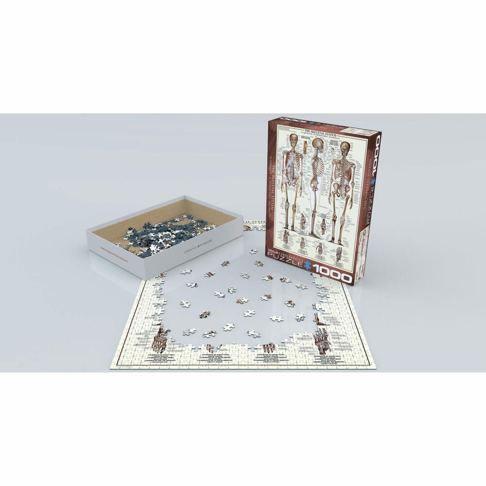 Eurographics Puzzle Das Skelett, Anatomie, 1000 Teile, 68 x 48 cm, 6000-3970