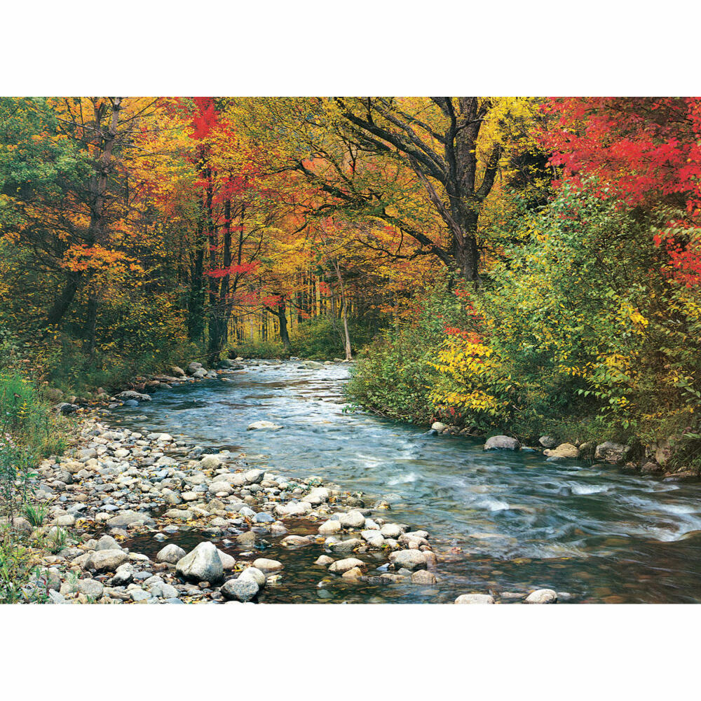 Eurographics Puzzle Bachlauf im Wald, Landschaft, 1000 Teile, 68 x 48 cm, 6000-2132