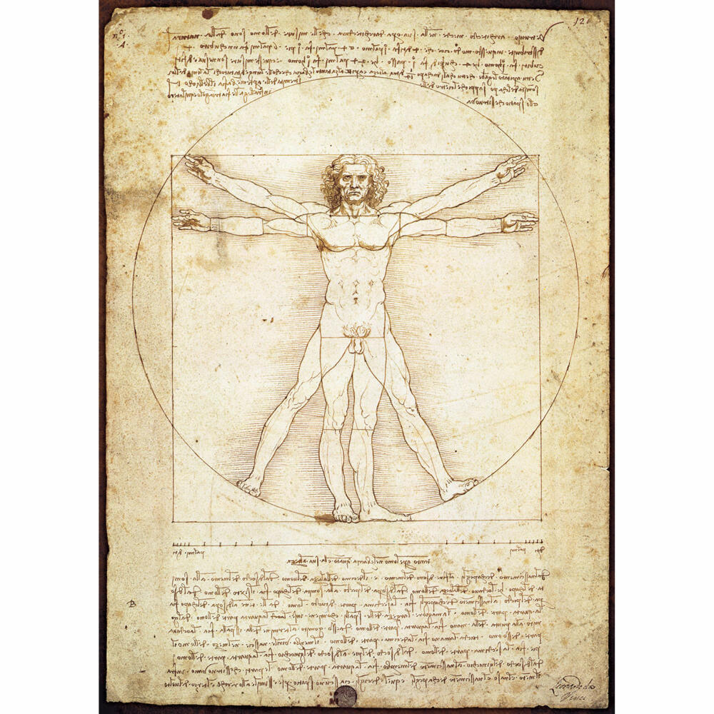 Eurographics Puzzle Der Vitruvianische Mensch von Leonardo Da Vinci, 1000 Teile, 68 x 48 cm, 6000-5098