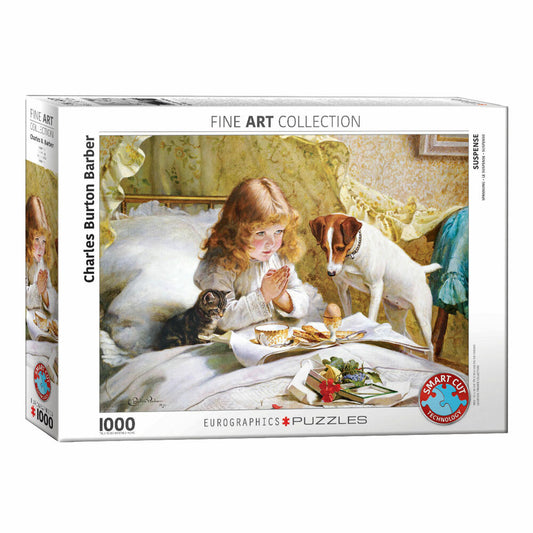 Eurographics Puzzle Spannung von Burton Barber, 1000 Teile, 68 x 48 cm, 6000-5329