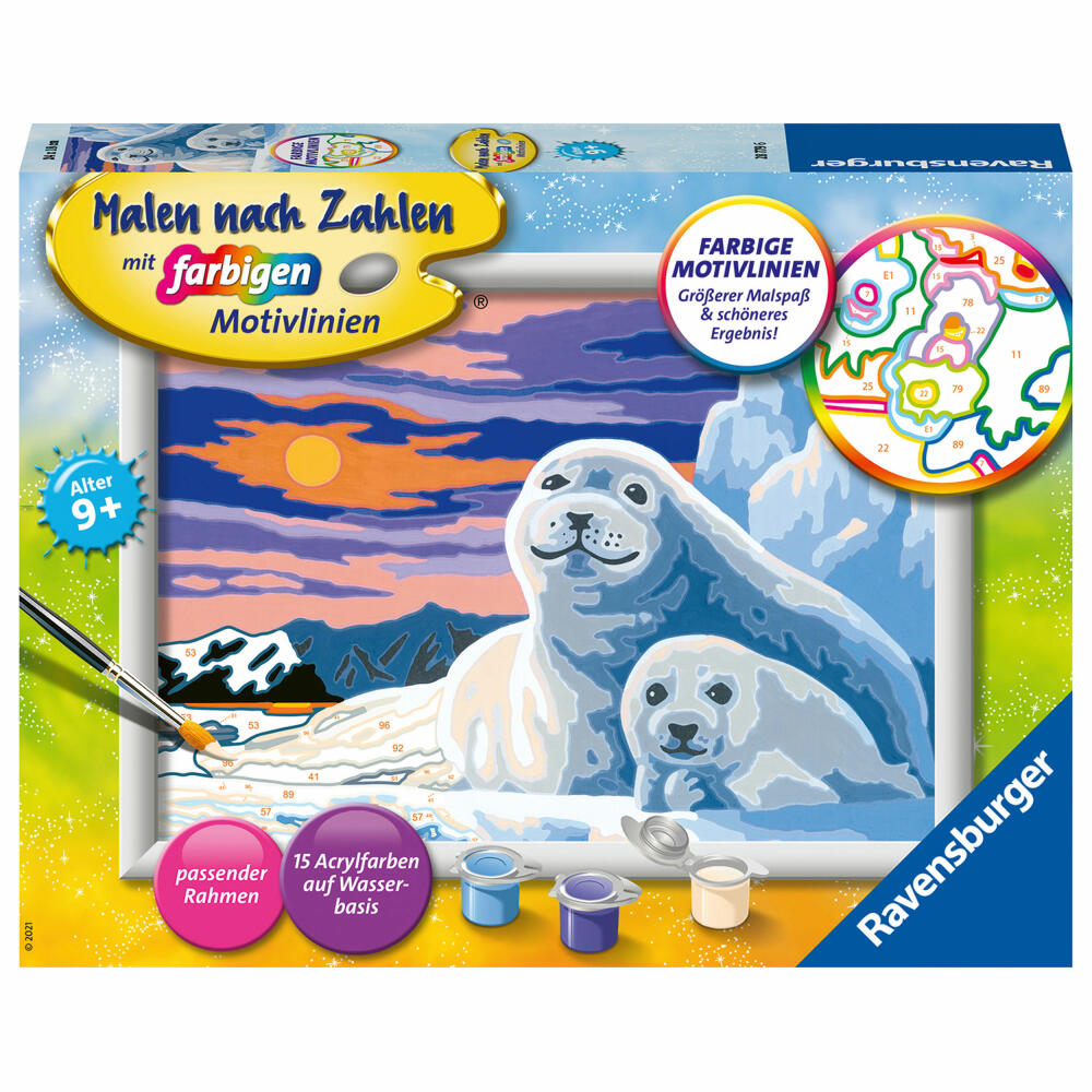 Ravensburger Malen nach Zahlen Niedliche Robben, Mal Set, Malvorlage, Vorlage, Bild, Kinder, 28779