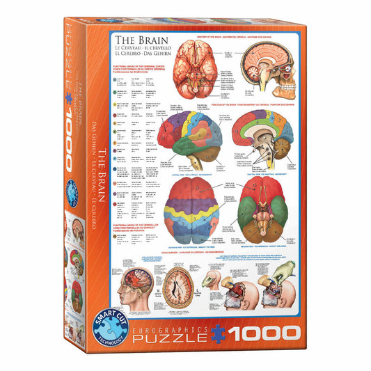 Eurographics Puzzle Das Gehirn, Anatomie, 1000 Teile, 68 x 48 cm, 6000-0256