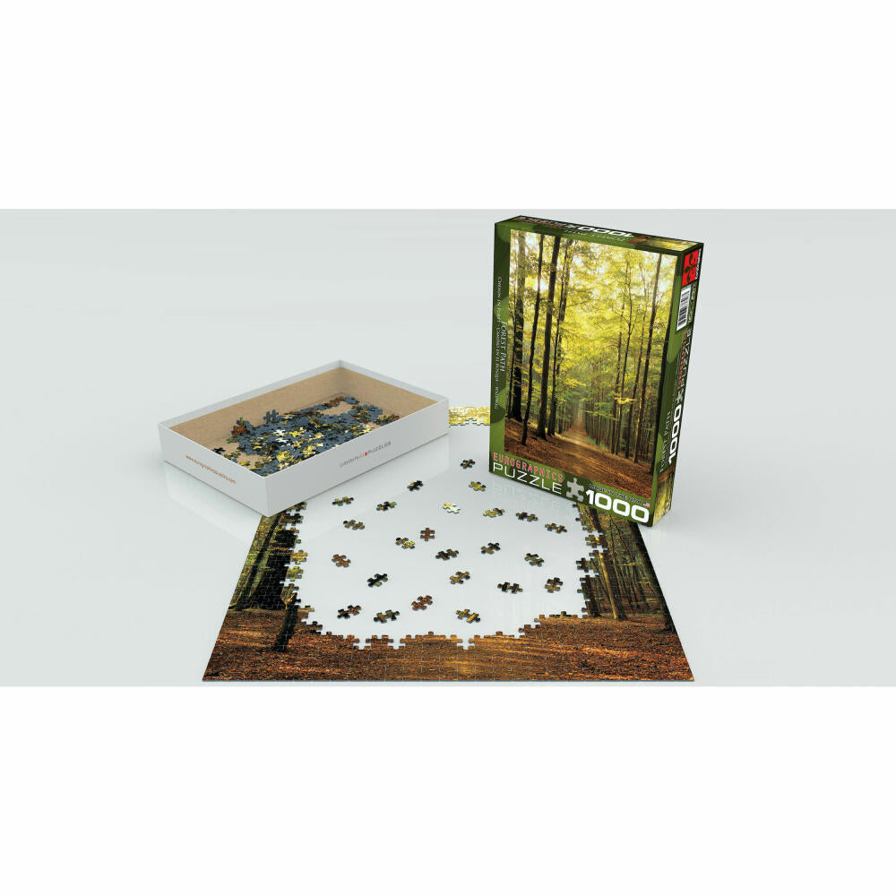 Eurographics Puzzle Waldweg, Landschaft, 1000 Teile, 68 x 48 cm, 6000-3846